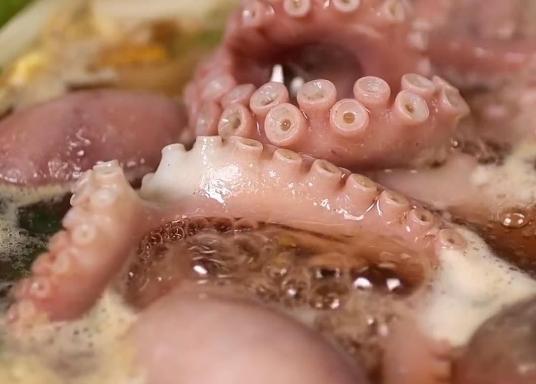 6시내고향 궁평항해오름수산시장 낙지 연포탕