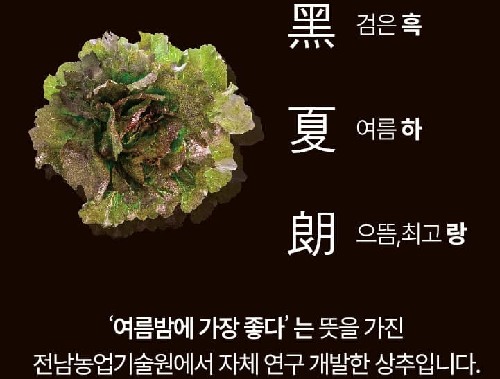 흑하랑-상추