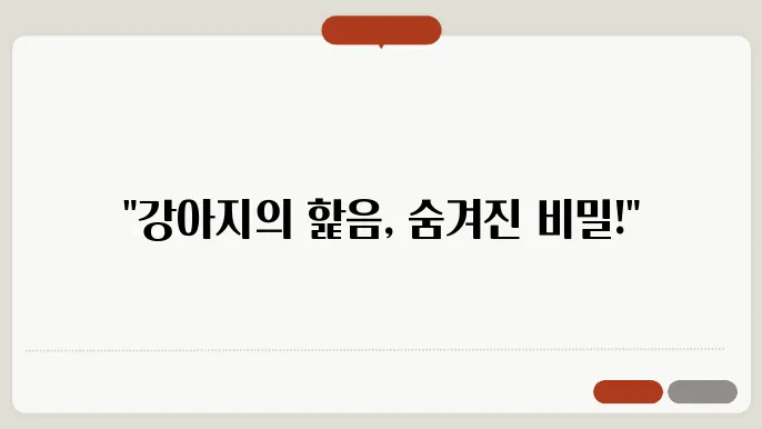 강아지가 핥는 이유? 숨겨진 의미와 행동 해석