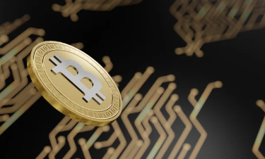 CBDC 도입에 따른 개발도상국과 선진국의 격차 해소 가능성