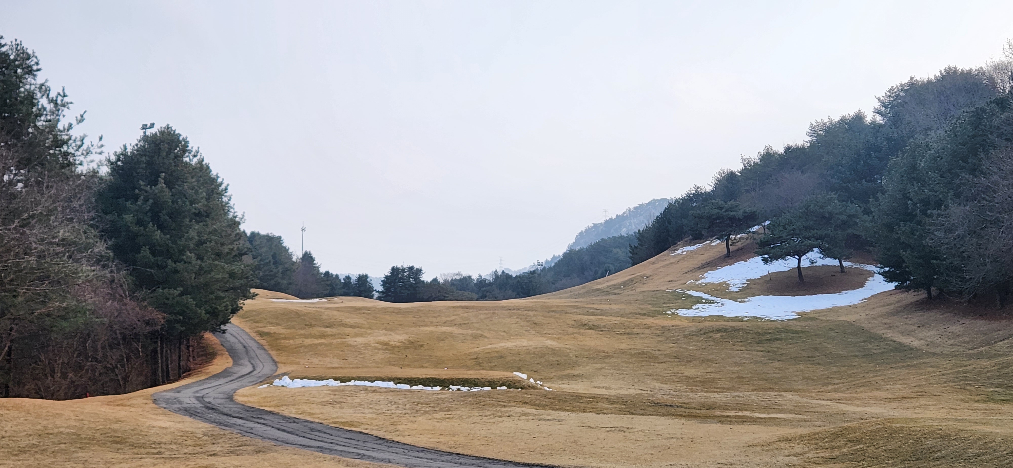 필로스cc