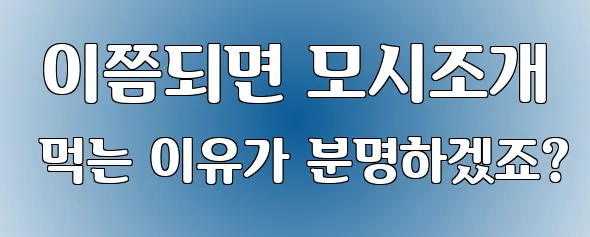  이쯤되면 모시조개 먹는 이유가 분명하겠죠?