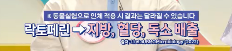 락토페린