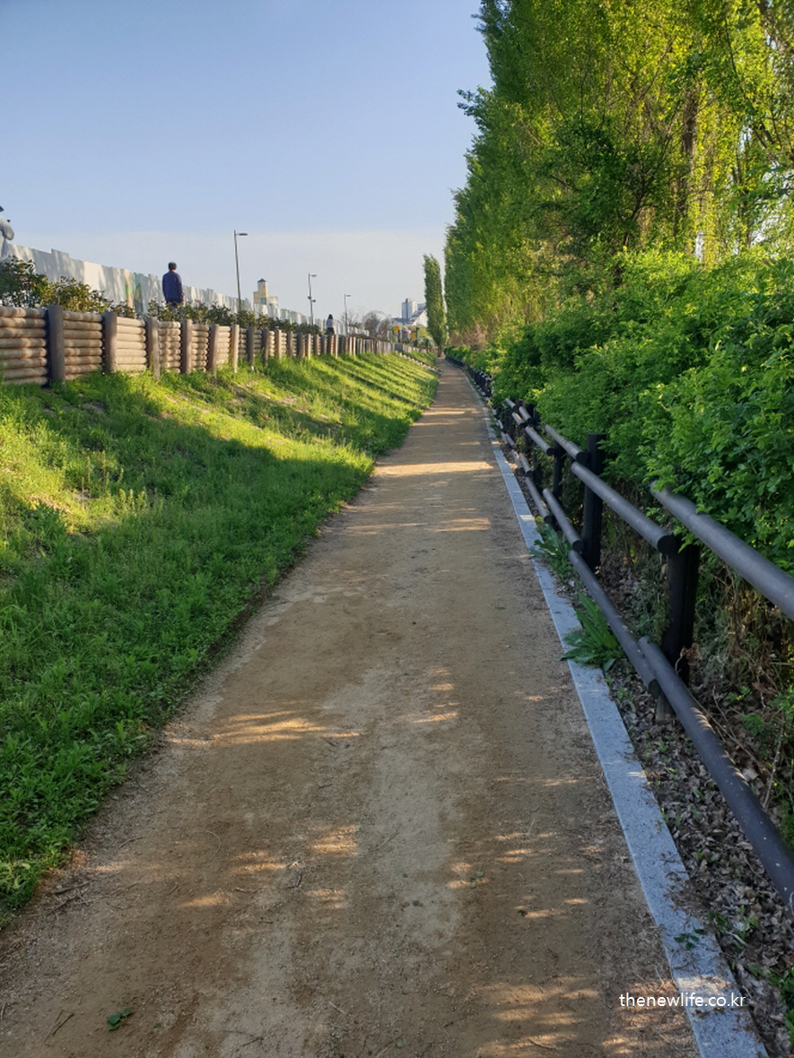 흙과 나무가 어우러진 자연 친화적 흙길 걷기 산책로