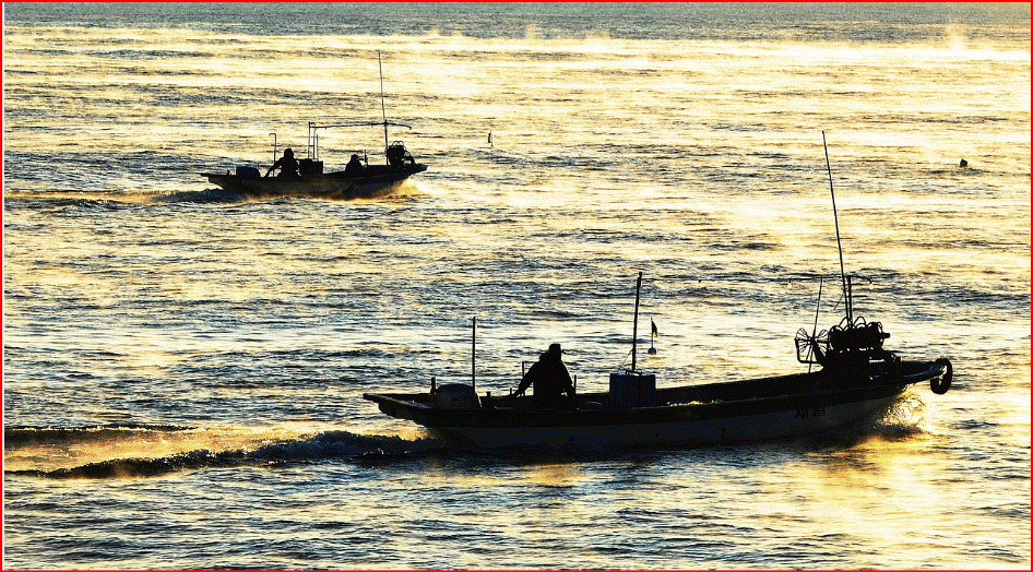 이번엔 오직 바다만 바라봤어요. -어부들의 시선이 머무는 곳 -고기잡이 배에서 얻은 지혜를 찾다.