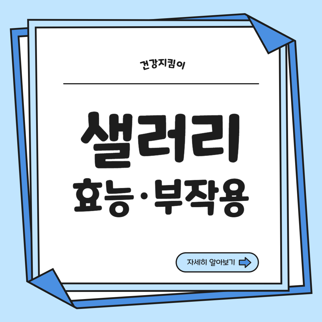 샐러리 효능 먹는법 부작용 고르는법 칼로리