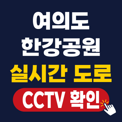 여의도 불꽃축제 한강공원 실시간 도로 확인 (교통통제)