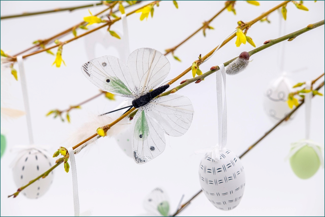 생생정보 가격파괴 why 돼지갈비