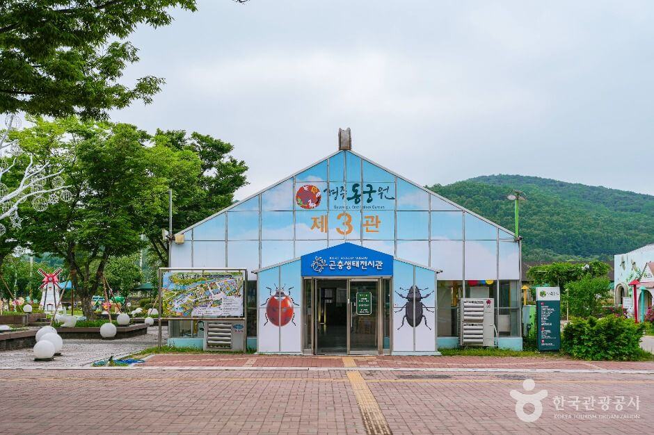 경주 가볼만한곳 베스트 10