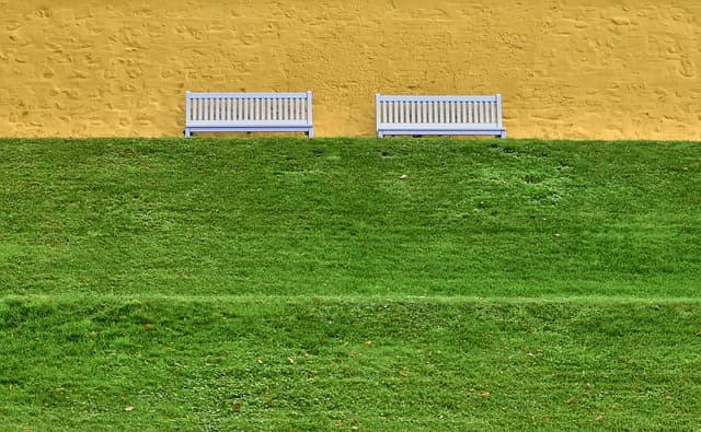 동네 산책이 탐사가 된다! 지역 생태계를 알아보는 초보 가이드