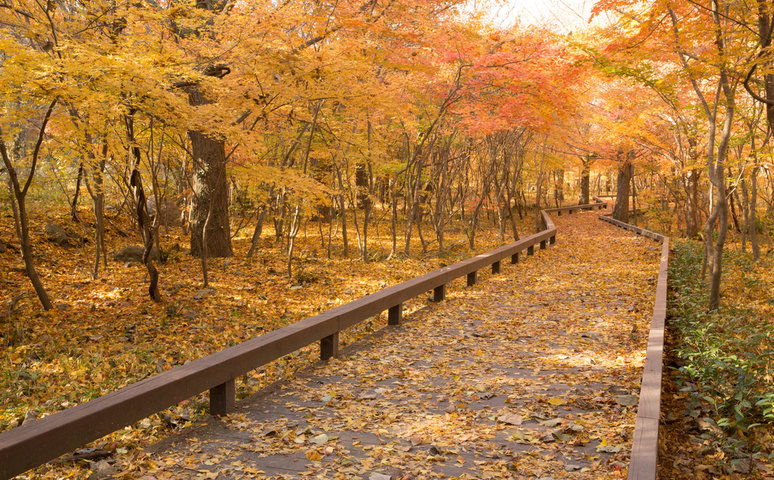 광주 여행지 추천