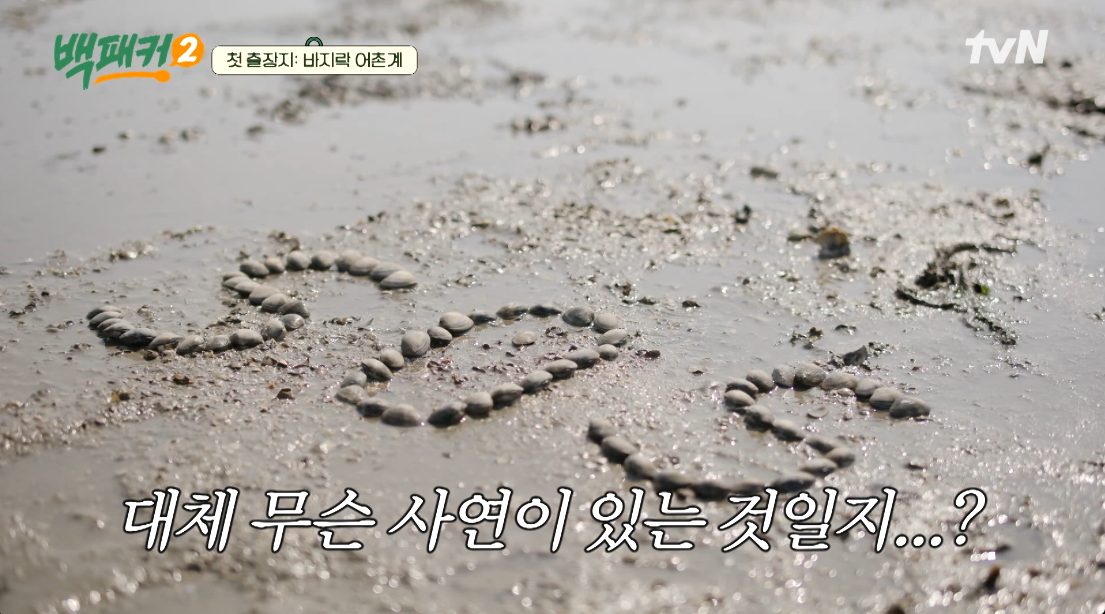 백패커2 1화 태안 바지락 SOS