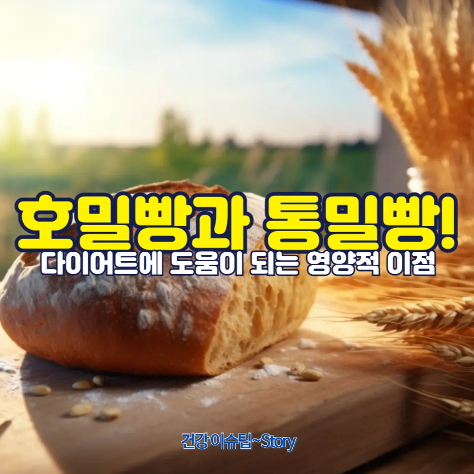 호밀빵 vs 통밀빵