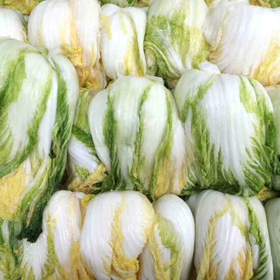 절임배추-20kg-가격-시세-구매