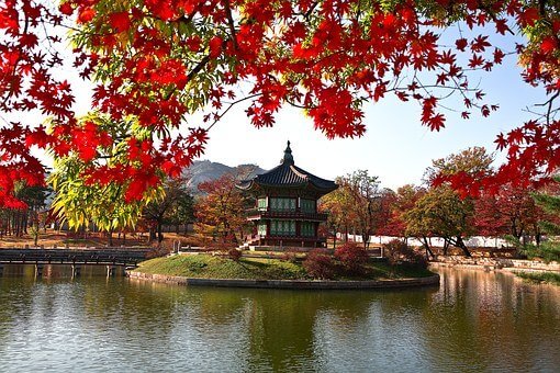 경복궁 별빛야행