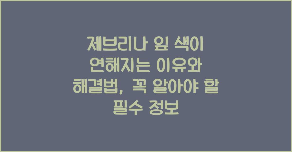 제브리나 잎 색이 연해지는 이유와 해결법
