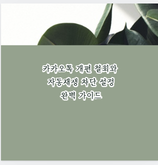 카카오톡 개편 철회와 자동재생 차단 설정 완벽 가이드