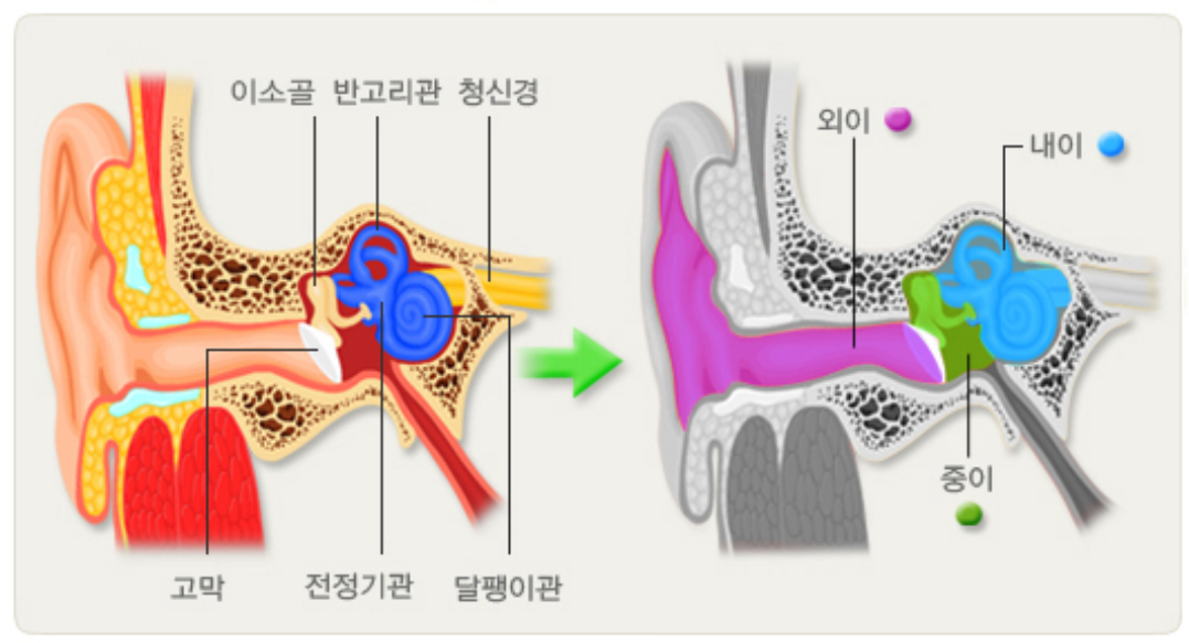 중이염의 증상과 치료방법