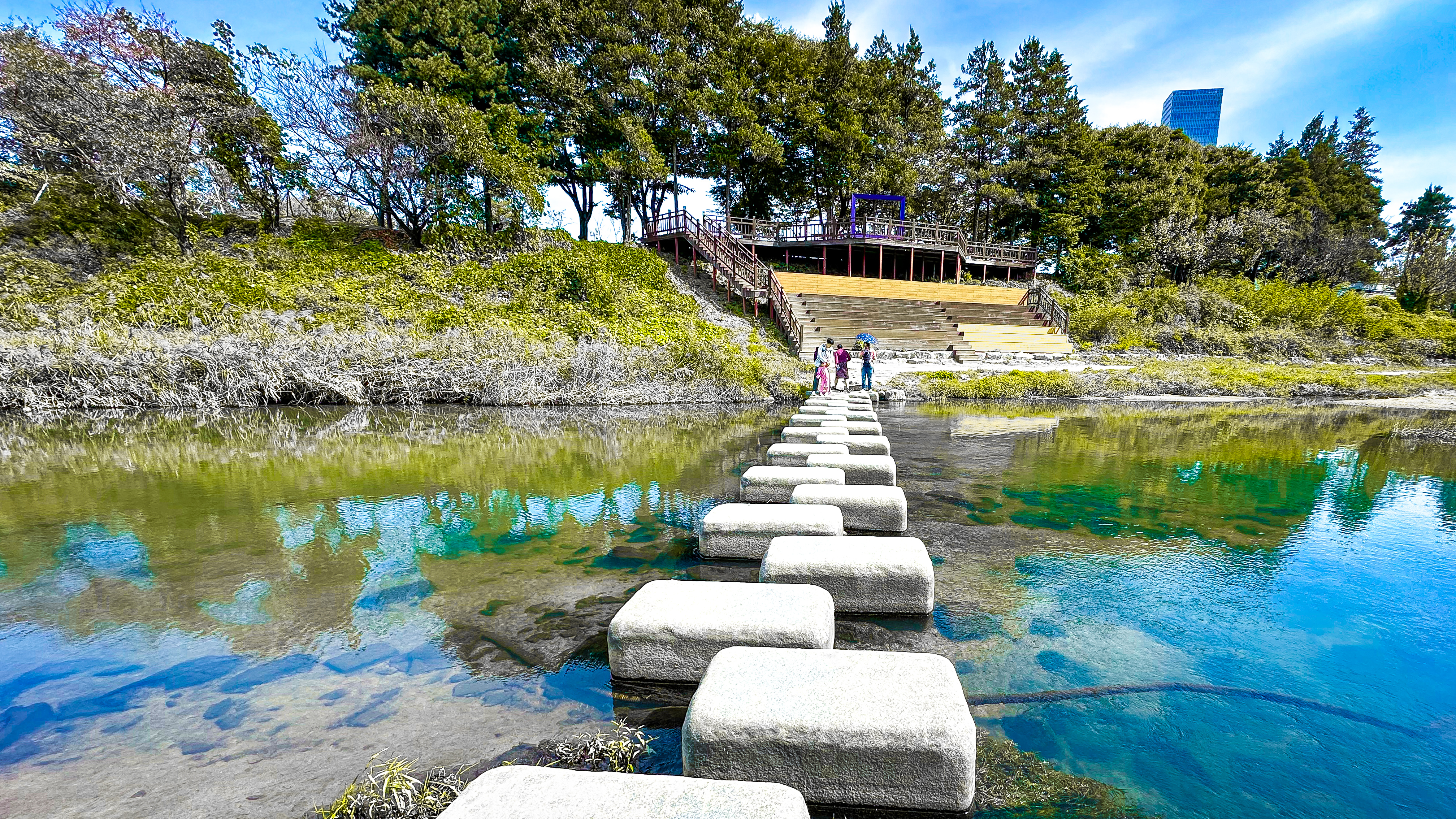 국립 중앙 과학관