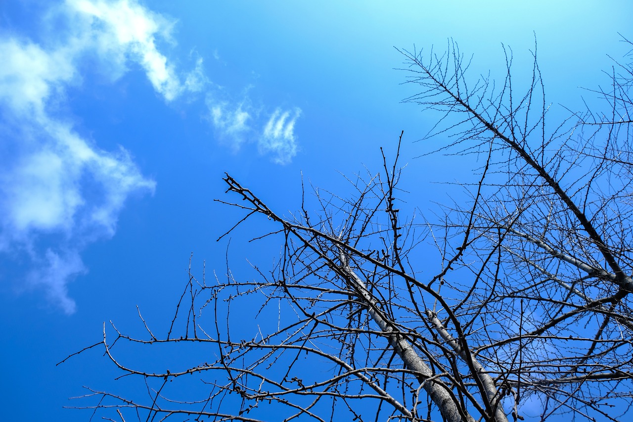 영어 추천 회화 앱 TOP3- 무료, 유료 앱 최신 비교