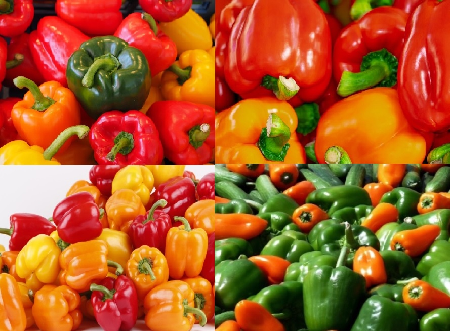 다양한 파프리카