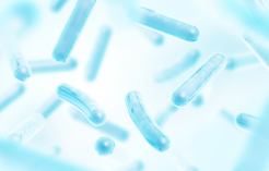 유산균 추천&amp;#44;프로바이오틱스