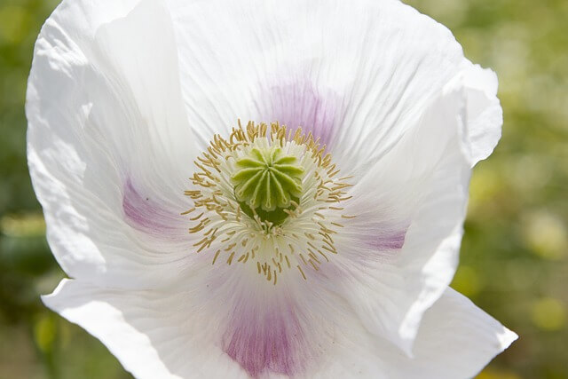 2025년 6모 등급컷 EBSi