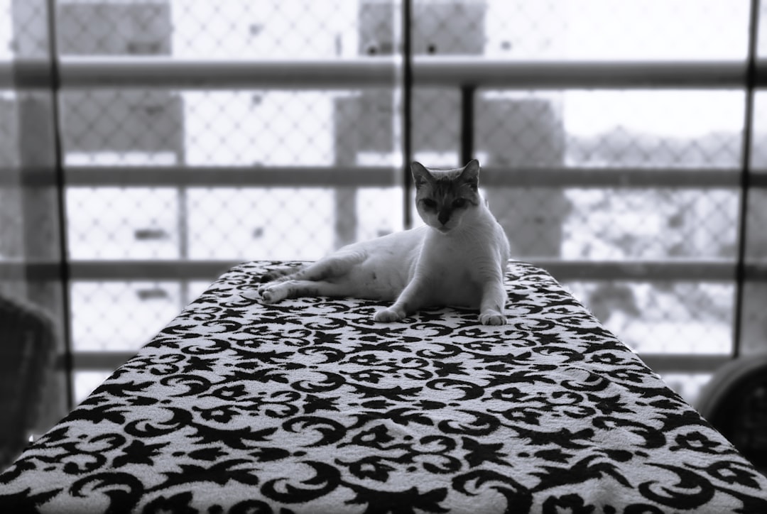 Frida