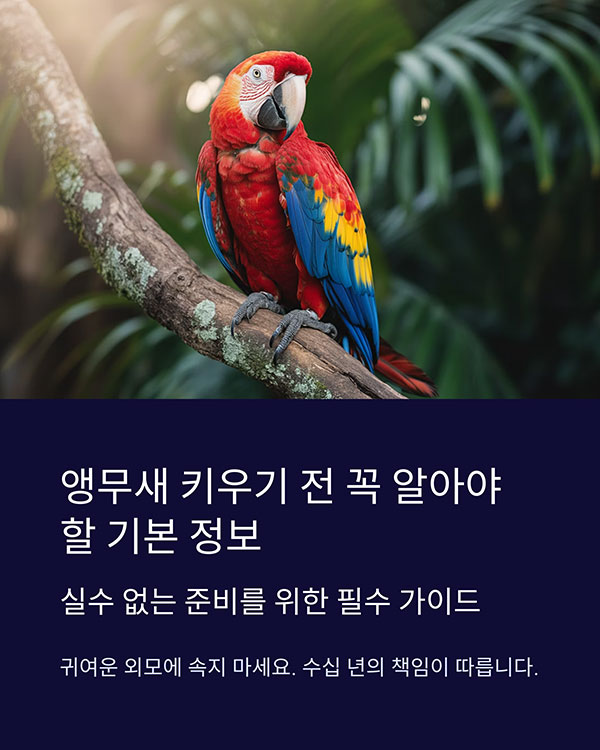 앵무새 키우기 전 꼭 알아야 할 기본 정보