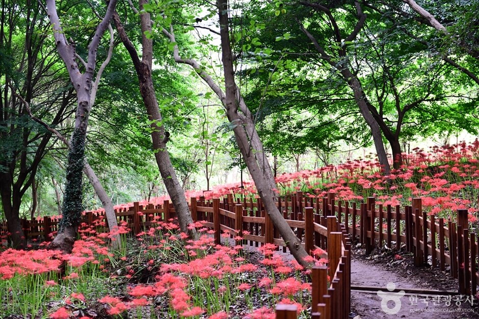 함평 가볼만한곳 베스트 10