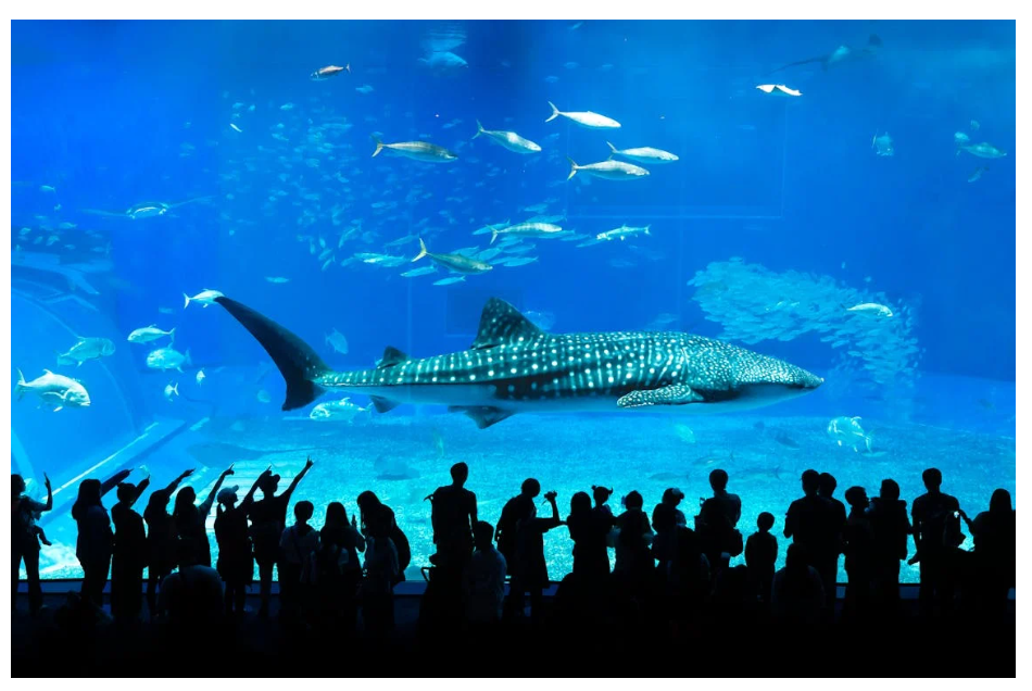 조용한 가족 여행지 추천