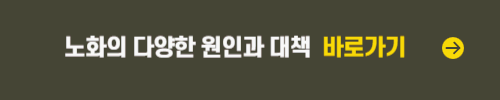노화의 원인과 대책 바로가기