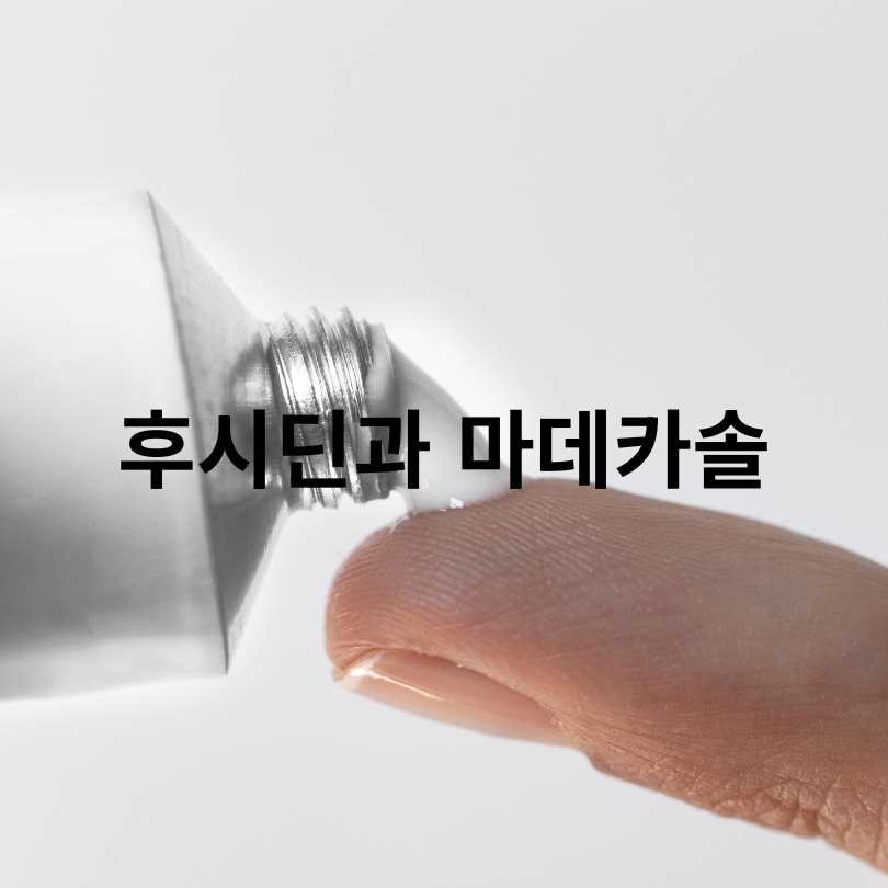 후시딘과 마데카솔 차이점 총정리!