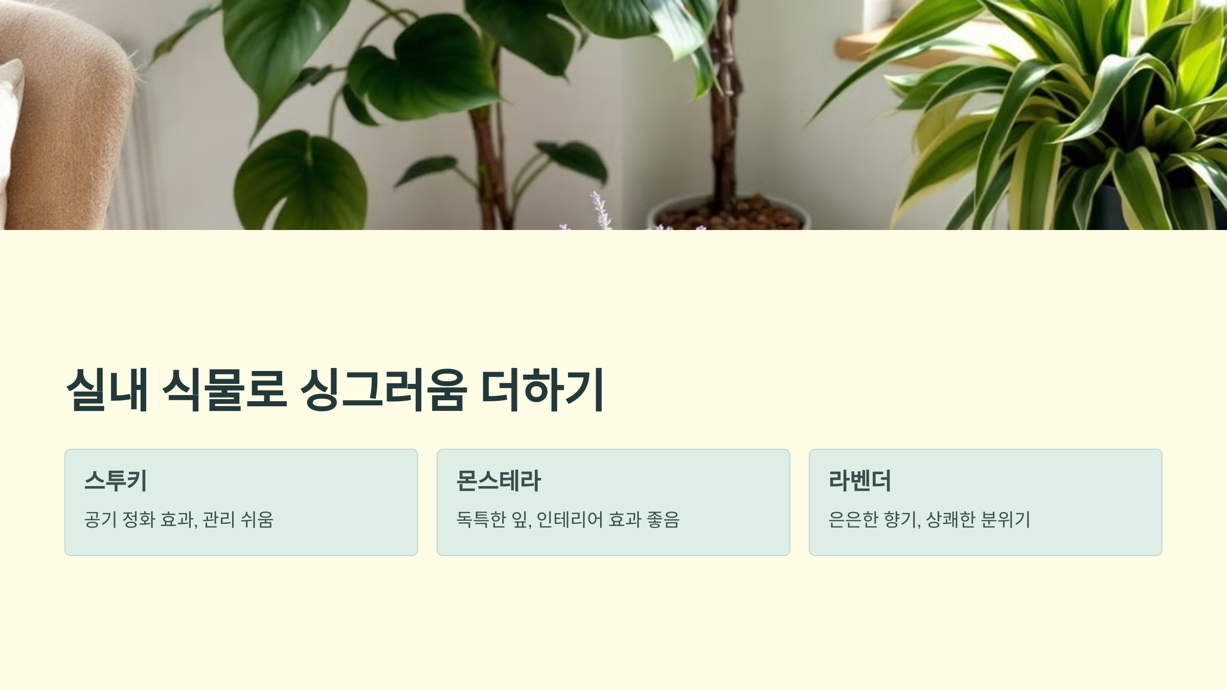 실내 식물로 싱그러움 더하기