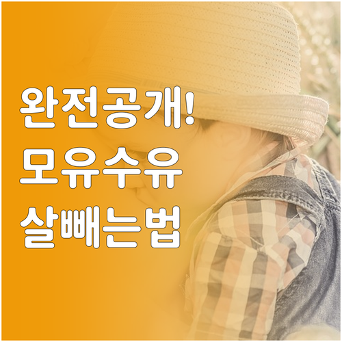 모유수유 엄마를 위한 산후 다이어트 ..