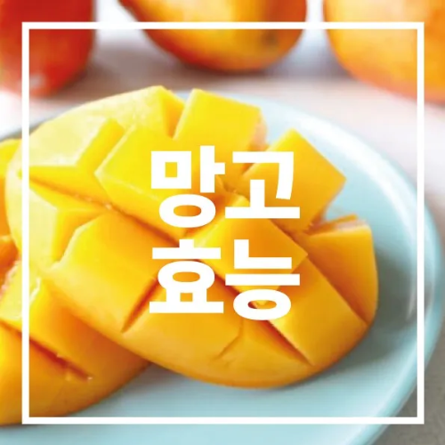 망고효능