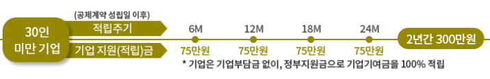 청년내일채움공제 정부 지원금, 기업 지원금, 기업 기여금, 기업 부담금 (30인 미만 기업) (출처: 고용노동부)