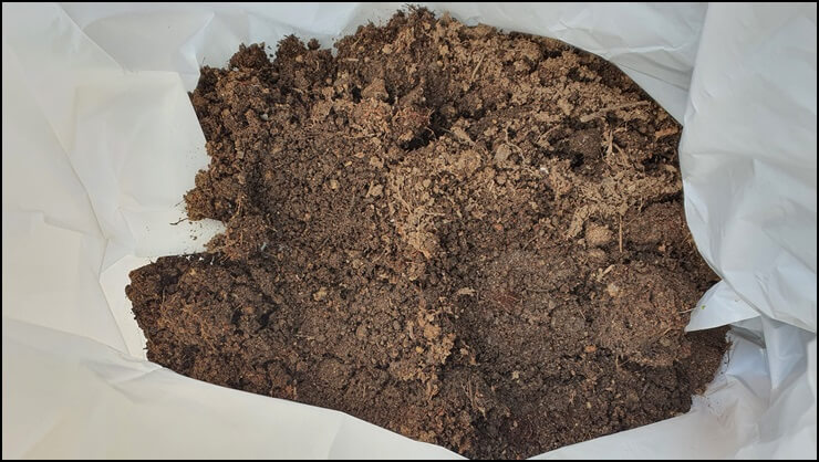 서울집에서-가지고-온-좋은-흙