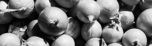 도복 시작 후 1주일 이내