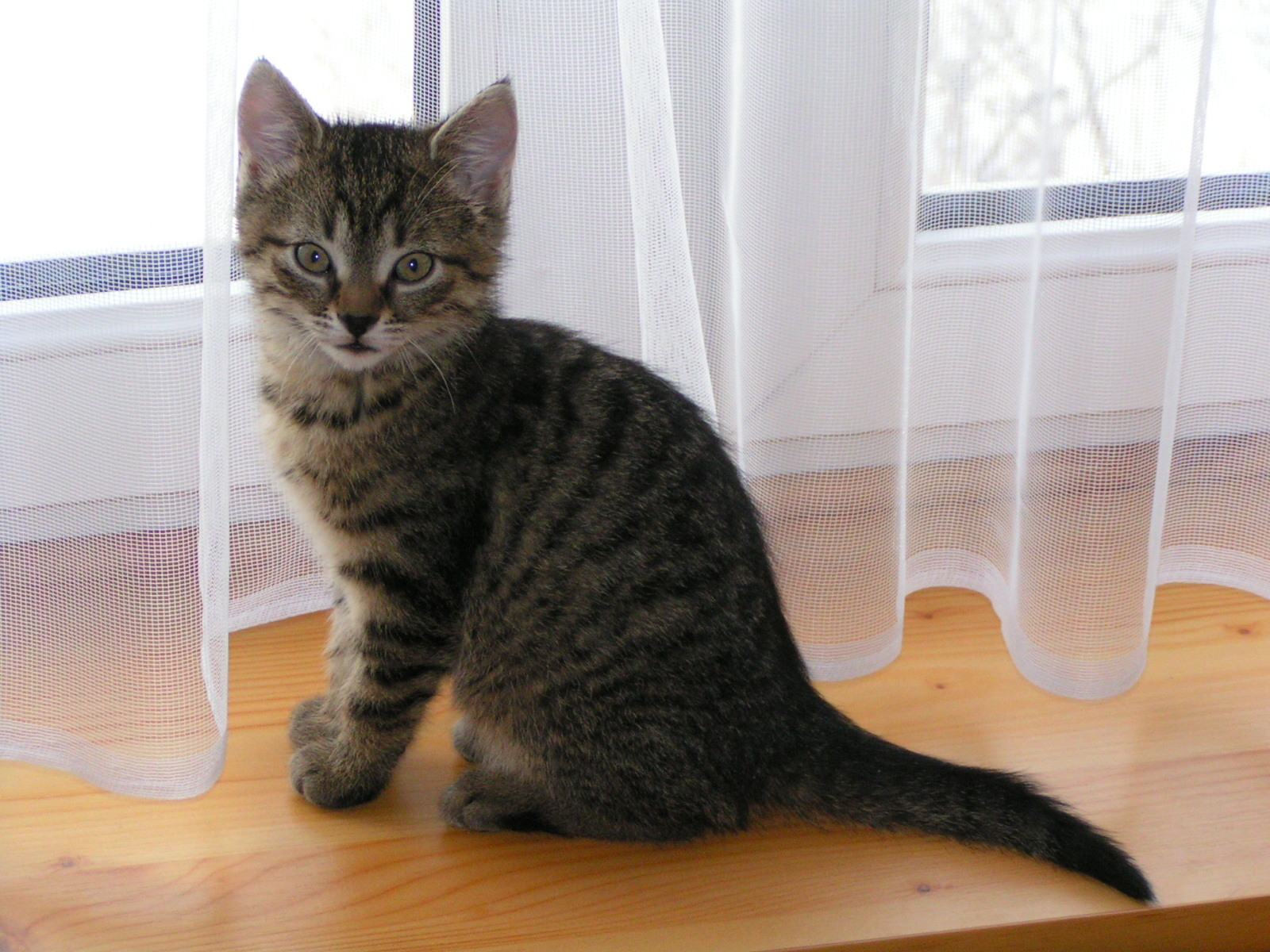 온라인 강의 관련 사진