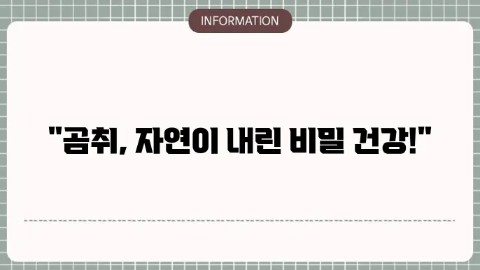 곰취효능, 산에서 온 건강 보물!