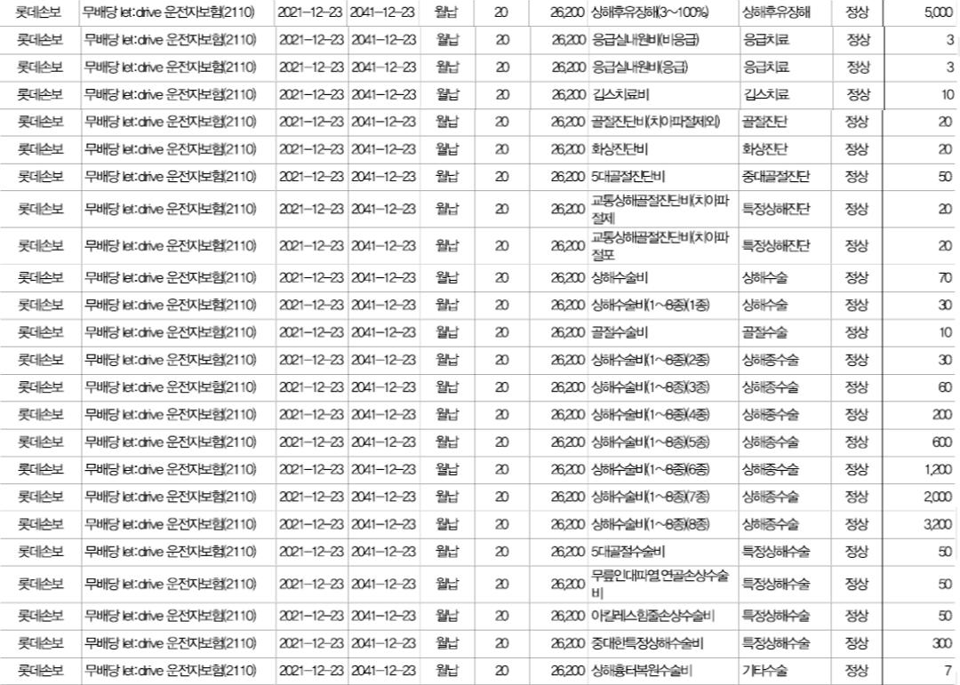 롯데손보-상해가입내역