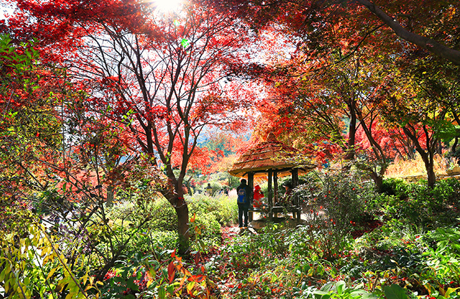 수목원