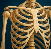 비타민D 하루 권장량