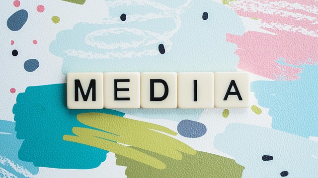 플랫폼의 변화와 시청 환경의 진화 이미지