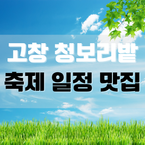 고창청보리밭축제