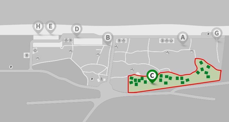 연곡 솔향기 캠핑장 예약