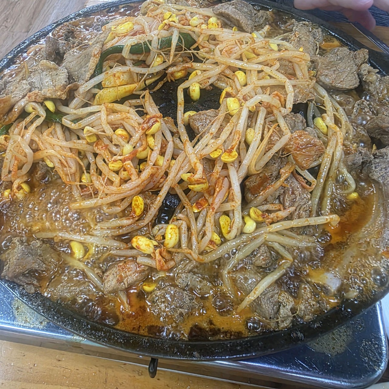 [서울 근교] 5월 철쭉, 유채꽃과 함께하는 수원화성❘열기구 예약 방법, 명성돼지갈비 맛집 정보