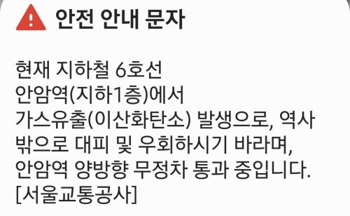 안암역 가스 유출: 서울 지하철 6호선 이산화탄소 가스 유출 사고 원인분석 및 지하 공간 화재 배전소 소방점검 대피 매뉴얼