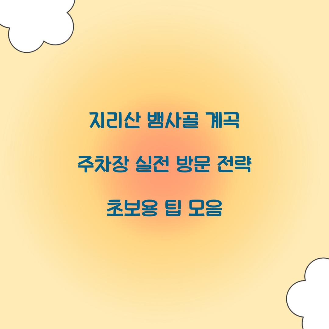 지리산 뱀사골 계곡 주차장